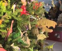 American Museum of Natural History