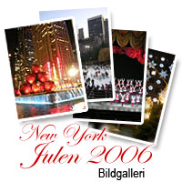 Se v�ra bilder tagna i New York Julen 2006. Sidan �ppnas i separat f�nster.