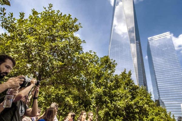 Busstur runt i New York