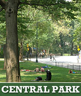Free guided tours in Central Park New York