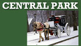 Central Park Horse Ride