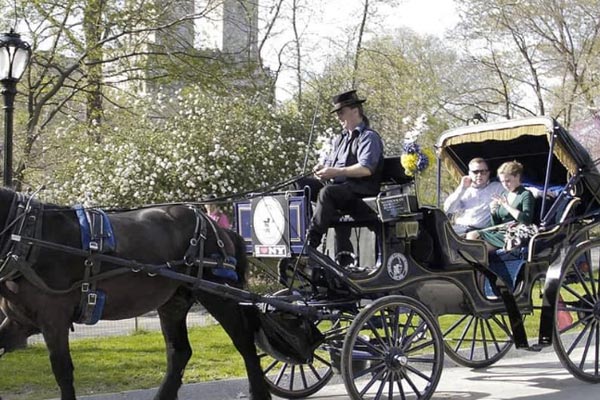 Droska genom Central Parki  New York